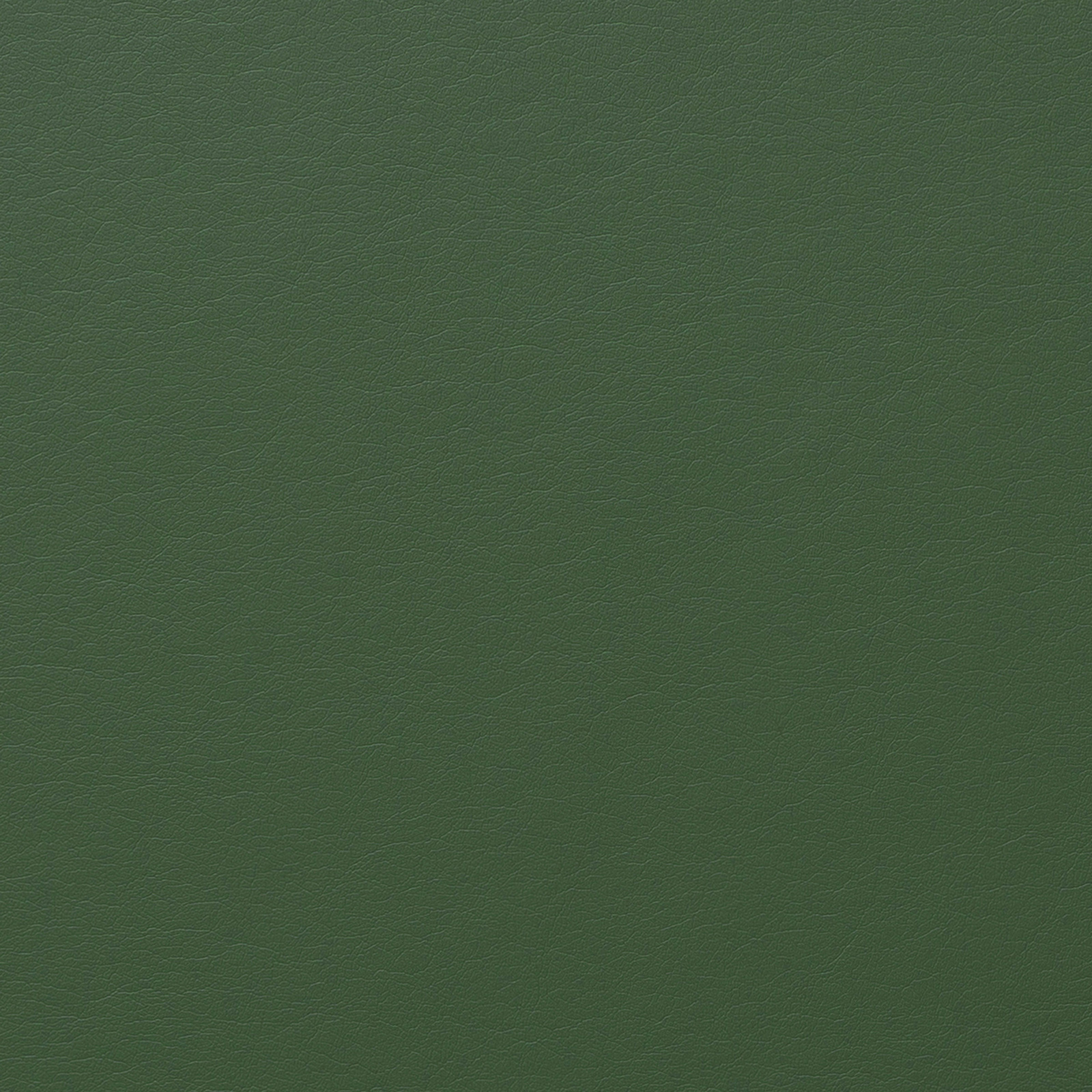 ABR 8703 - KELLY GREEN