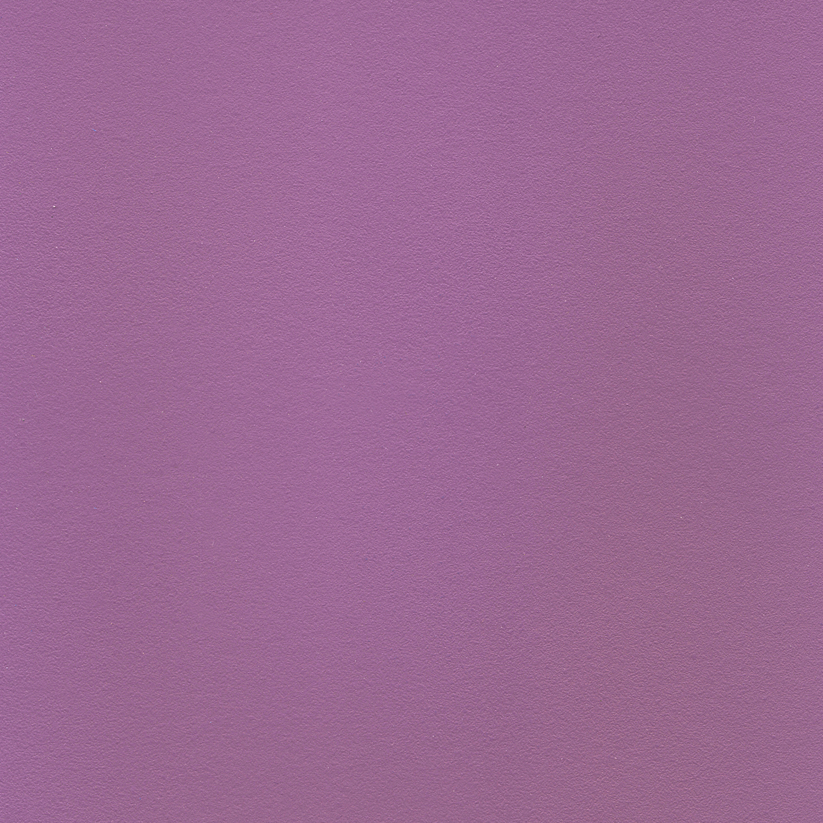 ST9814 - Vibrant, Purple